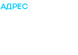 Адрес г.Саров, ул. Курчатова, д.3, офис № 232